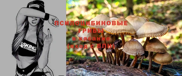 ГАЛЛЮЦИНОГЕННЫЕ ГРИБЫ Вязники