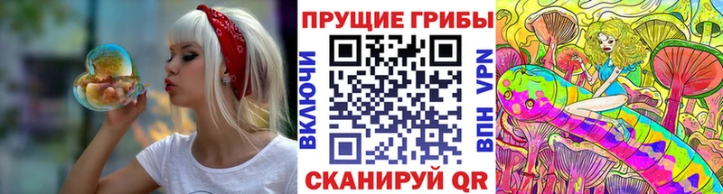 закладка Дегтярск Псилоцибиновые грибы Cubensis
